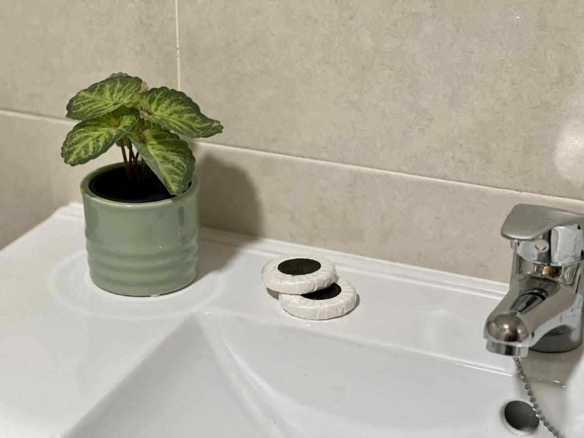 Almamater Salamanka Zewnętrze zdjęcie